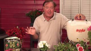 Flower amp Plant Care  How to Control Fungus Gnats on Indoor Plants [upl. by Cece679]