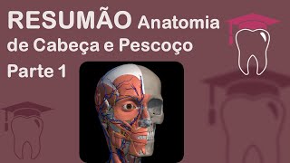 Pt 1 Resumão Anatomia de Cabeça e Pescoço [upl. by Grogan828]