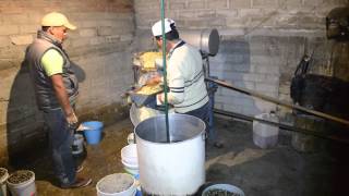 What makes the best tortillas in Mexico [upl. by Elleral600]