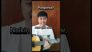 Ini Capo Gini cara pake dan fungsinya capogitar capo belajargitar tutorialgitar gitar [upl. by Winchell645]