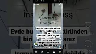 agagagaga instagram açılmış keşfetteyiz keşfetduası wattpad [upl. by Manchester]