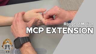 ROM Metacarpophalangeal MCP Joint Extension Range of Motion [upl. by Nauqe455]