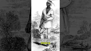 Black Is America The Untold Story of John Horse and the Black Seminoles in Florida Part 3 [upl. by Wiebmer]