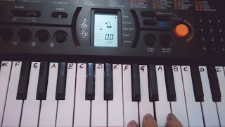 Raabta on Keyboard PianoCasio​ Title SongRaabta Keyboard Cover Easy notes for beginners [upl. by Mills]