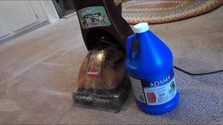 Cleaning my Carpets using Adams Flea and Tick Shampoo [upl. by Ennadroj]