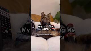 My Boss calling me on off days quotTurn on subtitlesquot shorts cat comedy [upl. by Locin]