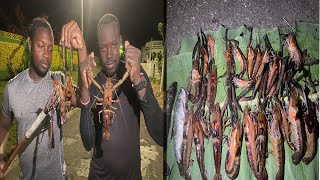 Biggest Crawfish Ever Caught In Jamaica Catch And Cook [upl. by Eetsirk]