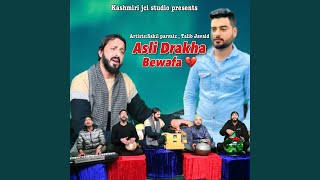 Asil Drakha Bewafa [upl. by Goraud391]