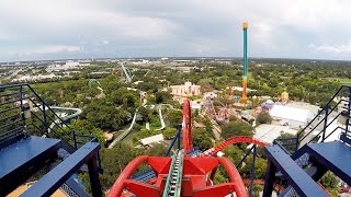 SheiKra Front Row POV Ride at Busch Gardens Tampa Bay on Roller Coaster Day 2016 Dive Coaster [upl. by Mabel]