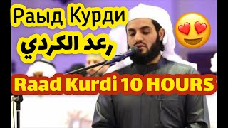 Beautiful 10 Hours of Quran Recitation By RAAD KURDI [upl. by Ennaeerb]