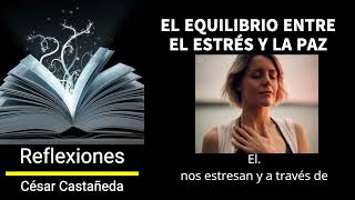 EL EQUILIBRIO ENTRE EL ESTRÉS Y LA PAZ APRENDIENDO DEL SISTEMA NERVIOSO AUTÓNOMO [upl. by Vaientina]