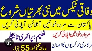 federal tax ombudsman secretarial jobs 2024 new govt jobs December 2024in Pakistan pakjobsandedu [upl. by Assyn]