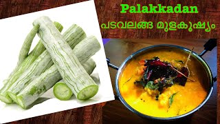 പടവലങ്ങ മുളകൂഷ്യം  Padavalanga Mulagushyam  Palakkadan curry  Recipe 148 [upl. by Ylenats]