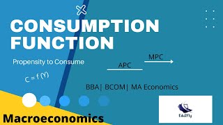 Consumption Function  Macroeconomics [upl. by Treborsemaj]