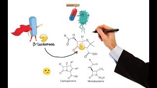 Pharmacology – ANTIBIOTICS – CELL WALL amp MEMBRANE INHIBITORS MADE EASY [upl. by Ahsitam]