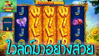 3 Buzzing Wilds ➽ PPSlot สล็อต3ผึ้งไวลด์ จัดไปดิ ไวลด์มา อย่างสวยเลย AW8 [upl. by Birch724]