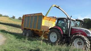 XXL HIRSE häckseln Claas Jaguar 970 mit Orbis 600 kommt an sein Limit Claas Maschinen im Einsatz Hir [upl. by Elwin366]