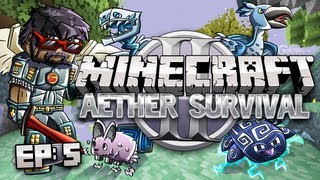 Minecraft Aether 2 Survival Lets Play Ep 5  Bunny Hat [upl. by Bone]