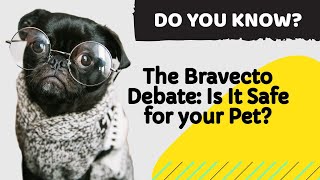 The Bravecto Debate Is It Safe for your Pet  all you must know about Bravecto side effects [upl. by Fenn273]