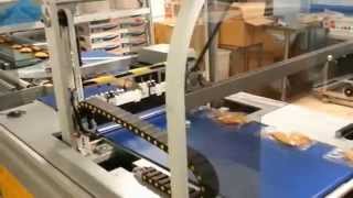 Fish Fillets Packaging in Wrapping Machine with Shrink Packaging Films [upl. by Teodor]