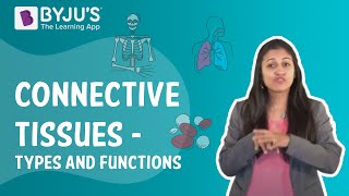 Connective Tissues  Types And Functions I Class 9 I Learn with BYJUS [upl. by Jessamine964]