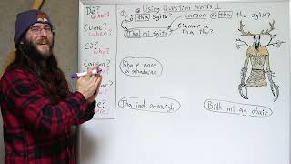 Using Question Words 1  Essential Gaelic Questions [upl. by Westland790]