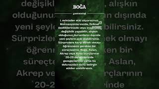 BOĞA BURCU  16 KASIM URANÜSYEN BOĞA DOLUNAYI astroloji burçyorumları [upl. by Cazzie]