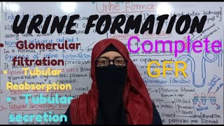 URINE FORMATION COMPLETE  ALL STEPS  GFR  RENAL PHYSIOLOGY AND SKIN  ayeshamedicaleducation [upl. by Anilyx]