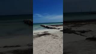 Holbox en el Caribe mexicano [upl. by Skelton]