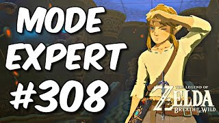 Zelda Breath of the Wild 308 Mode Expert  Aventure Zelda BotW lÉpée de Légende [upl. by Hardej485]