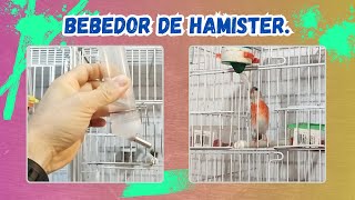 Bebedor de hamiter para pássaros de gaiola veja o porquê [upl. by Aicileb]