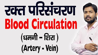 Blood Circulation  रुधिर परिसंचरण  Artery  धमनी  Veins  शिरा  in Hindi [upl. by Daniels450]