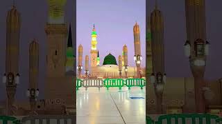 Madina Lage Nabi Ka Bag e Jannat shortvideo youtubeshorts [upl. by Renate]