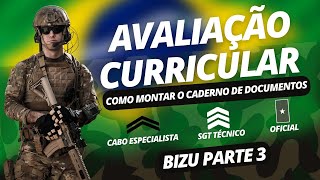 AVALIAÇÃO CURRICULAR como montar o caderno de documentos PARTE 3 [upl. by Ul100]