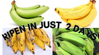 How To Ripen Plantain Burro Banana FastEasy amp Effective Trick To Ripen PlantainBanana [upl. by Amorete]