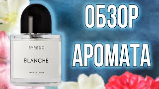 ЧИСТОТА И ЛЁГКОСТЬ ВО ФЛАКОНЕ BYREDO BLANCHE  ОБЗОР АРОМАТА [upl. by Merta]