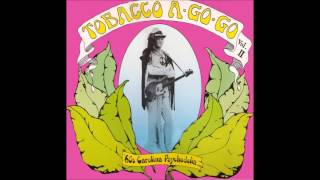 Tobacco AGoGo Vol II  60s Carolina Psychedelia 1987 Blue Mold vinyl FULL LP [upl. by Ayifas]