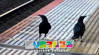 鉄道PV「ようこそジャパリパークへ」 [upl. by Merta652]