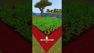 La mejor forma de hacer cultivos en Minecraft 🧐 [upl. by Eninahs380]