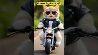 तेरे चक्कर में दुसरी पटाई नहींCat shortvideo ytshorts viralvideo viralsong [upl. by Crotty740]