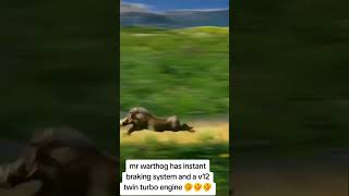 MR WARTHOG HAS INSTANT SPEED AND V12 BRAKES [upl. by Estele]