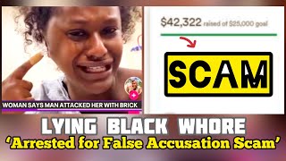 LYING BLACK WH0RE CHARGED for FALSELY ACCUSING MEN amp GOFUNDME SCAM 😂 BRICK LADY HELD ACCOUNTABLE [upl. by Kiraa]