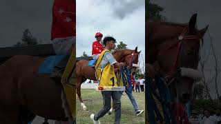 SAWAHLUNTO DERBY 2023  PACUAN KUDO  jocky horse [upl. by Chadbourne]