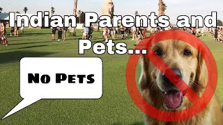 Indian Parents and Pets Parents React to Getting a Pet [upl. by Artinad]