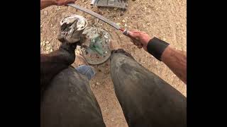 Horseshoeing Hind Shoe Reset [upl. by Llerud]