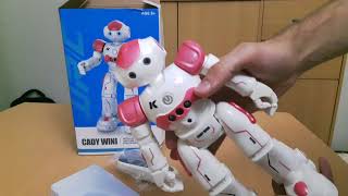 JJRC R2 CADY WINI Intelligent RC Robot  Gearbest [upl. by Ohare53]