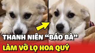 Thanh niên cún làm vỡ lọ hoa của bà và cái kết BẤT LỰC 😂  Yêu Lu [upl. by Nima]