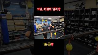 복싱 스파링🥊 고딩 회심의 일격 kickbox boxing 격파 kickboxing 복싱 ufc kickboxer taekwondo 🥊🔥 [upl. by Aicilf]