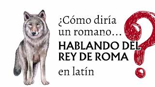 «Hablando del rey de Roma» en latín 🐺 con ejemplos de los textos antiguos [upl. by Asir]