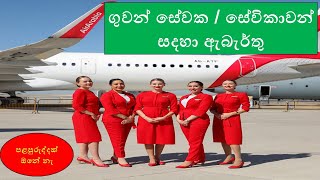 Airport job vacancies  Cabin crew maleFemale [upl. by Ennirak]